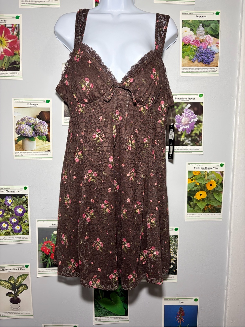 Brown Floral Lace-Trim Chemise with Pink Rose Print